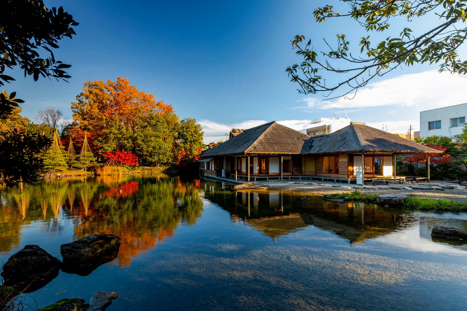 🌳 요코칸 정원(요코칸 테이엔) 이미지 9